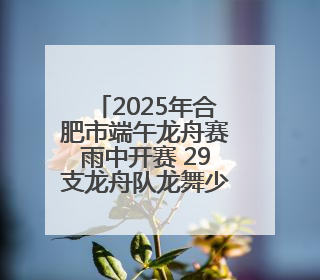 2025年合肥市端午龙舟赛雨中开赛 29支龙舟队龙舞少荃湖