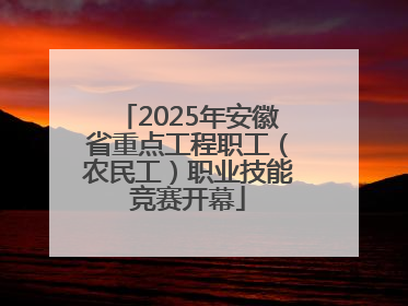 2025年安徽省重点工程职工（农民工）职业技能竞赛开幕
