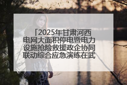 2025年甘肃河西电网大面积停电暨电力设施抢险救援政企协同联动综合应急演练在武威成功举行