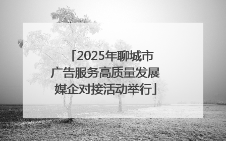 2025年聊城市广告服务高质量发展媒企对接活动举行