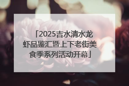 2025吉水清水龙虾品鉴汇暨上下老街美食季系列活动开幕