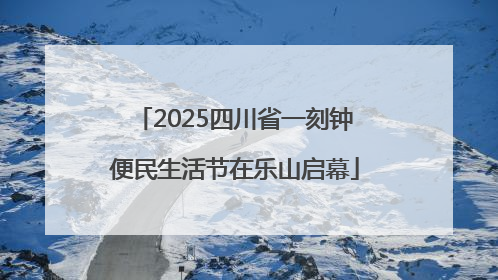 2025四川省一刻钟便民生活节在乐山启幕