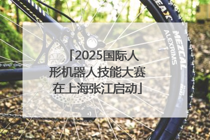 2025国际人形机器人技能大赛在上海张江启动