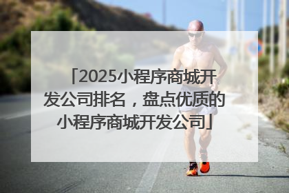 2025小程序商城开发公司排名，盘点优质的小程序商城开发公司