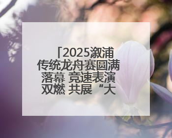 2025溆浦传统龙舟赛圆满落幕 竞速表演双燃 共展“大端午”魅力