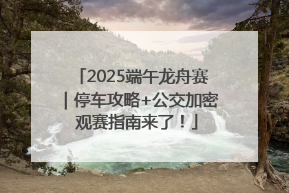 2025端午龙舟赛｜停车攻略+公交加密 观赛指南来了！