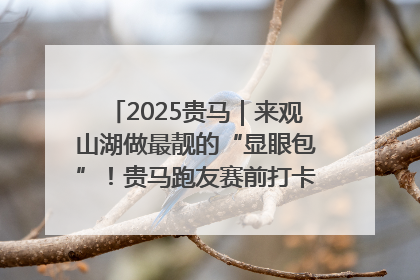 2025贵马｜来观山湖做最靓的“显眼包”！贵马跑友赛前打卡点燃奔跑热情