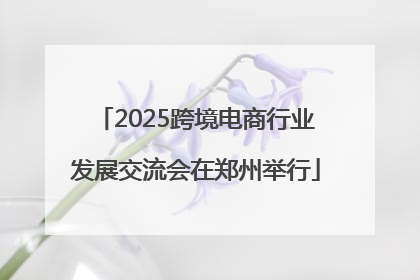 2025跨境电商行业发展交流会在郑州举行