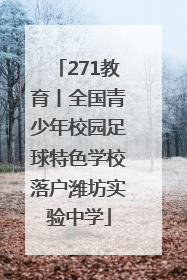 271教育丨全国青少年校园足球特色学校落户潍坊实验中学