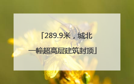 289.9米，城北一幢超高层建筑封顶