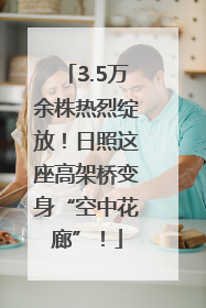 3.5万余株热烈绽放！日照这座高架桥变身“空中花廊”！