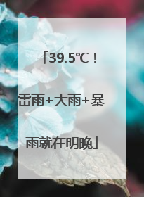 39.5℃！雷雨+大雨+暴雨就在明晚