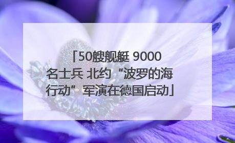 50艘舰艇 9000名士兵 北约“波罗的海行动”军演在德国启动