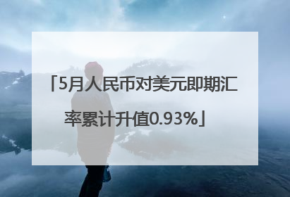 5月人民币对美元即期汇率累计升值0.93%