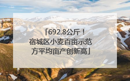 692.8公斤！宿城区小麦百亩示范方平均亩产创新高
