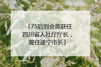 75后刘会英获任四川省人社厅厅长，曾任遂宁市长