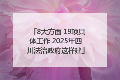 8大方面 19项具体工作 2025年四川法治政府这样建