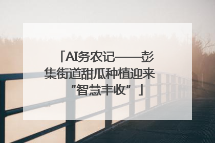 AI务农记——彭集街道甜瓜种植迎来“智慧丰收”