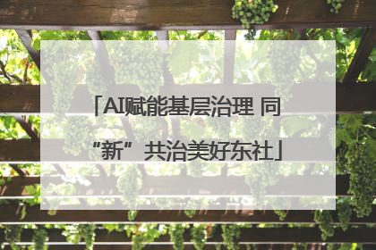 AI赋能基层治理 同“新”共治美好东社