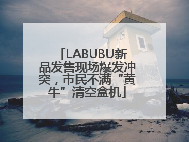 LABUBU新品发售现场爆发冲突，市民不满“黄牛”清空盒机
