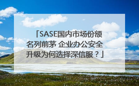 SASE国内市场份额名列前茅 企业办公安全升级为何选择深信服？