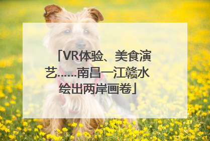 VR体验、美食演艺……南昌一江赣水绘出两岸画卷